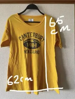 Item thumbnail for item c31d4b32-c4b5-4341-92b8-1ed9624af85d