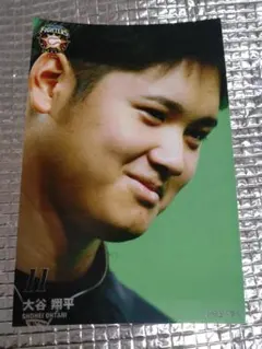 大谷翔平 2014 ハイライトフォト No.264 日本ハム 球団公式写真