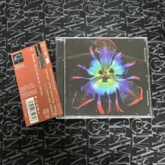 DICTATORS CIRCUS-奇術的旋律-