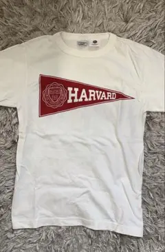 Champion HARVARD Tシャツ S