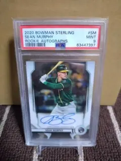 Item thumbnail for item 776b9e64-0db9-4469-9459-97b2e7da02e3