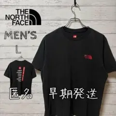 THE NORTH FACE メンズ Tシャツ ブラック Lのサムネイル