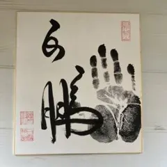 大相撲 白鵬 朝青龍 手形 サイン 横綱 招福 額縁 大相撲 白鵬 朝青龍 手形 サイン 横綱 招福 額縁 Amazon.co.jp
