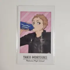 ハイキュー キャラポトレ 夜久