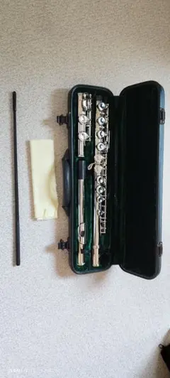 Item thumbnail for item 561c089b-137b-4de2-ad15-70597f19b946