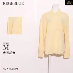 REGEBLUE トップス シャツ 長袖 ボタン付き 無地 きれいめ 麻100%のサムネイル