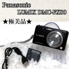 2026年最新】lumix dmc-fx8の人気アイテム - メルカリ