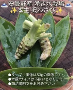 安曇野産 わさびの茎 500グラム - メルカリ