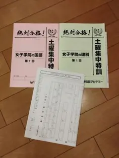 2026年最新】女子学院 nnの人気アイテム - メルカリ