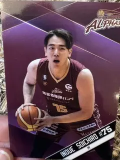 Item thumbnail for item 396f2d98-098c-4157-9a4e-c1a226309839