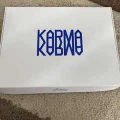 straykids karma 通常盤　開封済み　トレカなし フライヤーアイエン