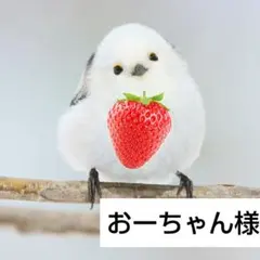 おーちゃん様 リクエスト 3点 まとめ商品