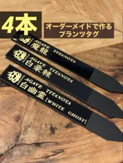4本　プランツタグ　園芸ラベル　アガベ　チタノタ　白鯨　黒鯨　ハデス　シーザーのサムネイル