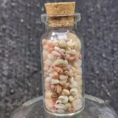 miki様 リクエスト 2点 まとめ商品