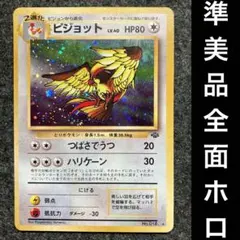 2025年最新】旧裏面 ピジョットの人気アイテム - メルカリ