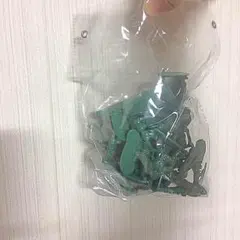 グリーンアミーメン