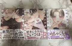 美山薫子 パーフェクトアディクション 1〜3巻セット BL漫画 特典付き