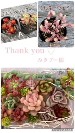 みきブー様 リクエスト 3点 まとめ商品