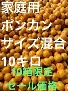 ポンカン サイズ混合 10キロ 10箱限定