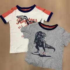 ジンボリー　恐竜柄　Tシャツ　2着セット　90 ティラノのサムネイル