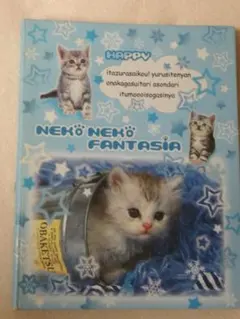 平成レトロ　プロフィール帳