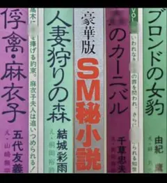 絶版】秘小説90.10 千草忠夫 結城彩雨 前田寿按 楡畑雄二 椋陽児 他