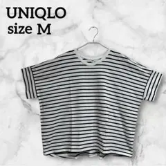 Item thumbnail for item a9efd6aa-a1e4-41b4-b0cb-473e067a6ede