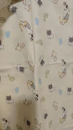 Item thumbnail for item 94454c68-0d82-497e-b098-88fb322c4c4b