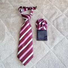 子ども用　ピンクストライプ ネクタイとポケットチーフ セット