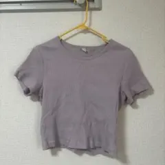 ラベンダー クロップド Tシャツ 半袖