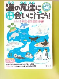 日本全国海の友達に会いに行こう!」 - メルカリ