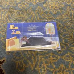 灰黒猫様 リクエスト 2点 まとめ商品