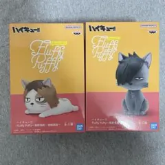 ハイキュー!! Fluffy Puffy 音駒高校　ケンマネコ　クロオネコ