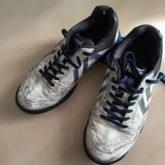 Item thumbnail for item 7a84d47e-790d-48ad-870e-a68002df7932