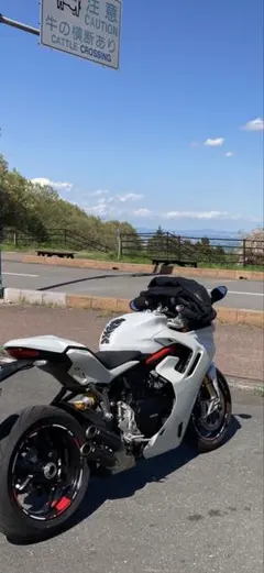 SUPERIORE スペリオーレ サイレンサー YZF-R1 04-06 - メルカリ