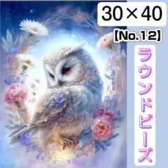 【No.12】SALE！ダイヤモンドアートキット★ラウンドビーズ 鳥