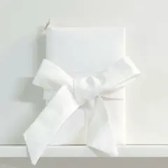 Item thumbnail for item 28d2a0c9-2ba8-4246-9f0c-6e8a64c74205