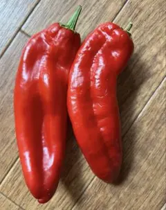 ニコリー様 リクエスト 2点 まとめ商品