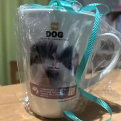 Item thumbnail for item 470b3f19-d1f9-4067-985a-d5542e95232e