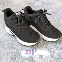 Item thumbnail for item a2d6ebc4-245b-4905-bb10-d4b86ac4f2ab