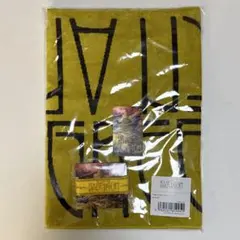 Mrs. GREEN APPLE バベルの塔 タオルラバーバンドセット