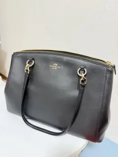 Item thumbnail for item 82a232f4-78c0-4cdf-ab6e-4be8920190c3