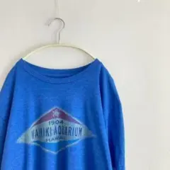 90s~ ヴィンテージ レトロ US古着 アメリカ古着 半袖 Tシャツ ワイキキ