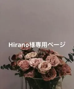 Hirano様専用ページ