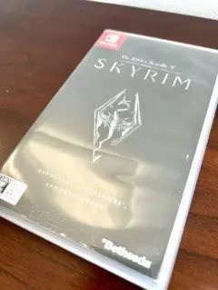 プレイ回数1回【美品】 ニンテンドースイッチ ソフト　スカイリム　Skyrim
