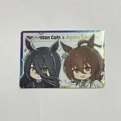 ウマ娘　プリティーダービー　マンハッタンカフェ　アグネスタキオン　カード