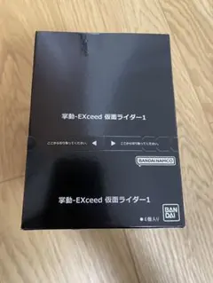 掌動EXCEED仮面ライダー