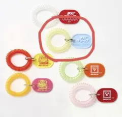 千葉ジェッツ　チバジェッツのおふろじかん シークレットコイルアクリルキーホルダー