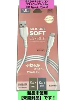 ラスタバナナシリコンソフトケーブル 1.0m USB Type-A Type-C