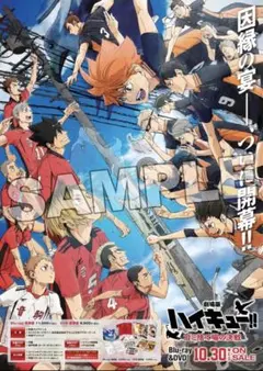ハイキュー‼︎ ゴミ捨て場の決戦　DVDアニメイト特典 販促ポスター